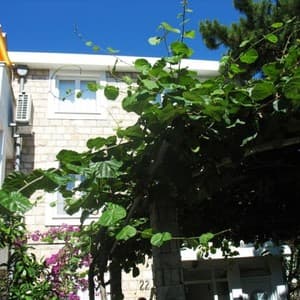 Radjenovic Boja Villa