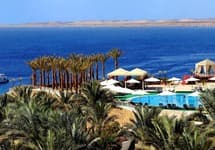 Reef Oasis Beach Resort — фото 2