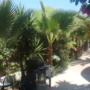 White Palace Studios